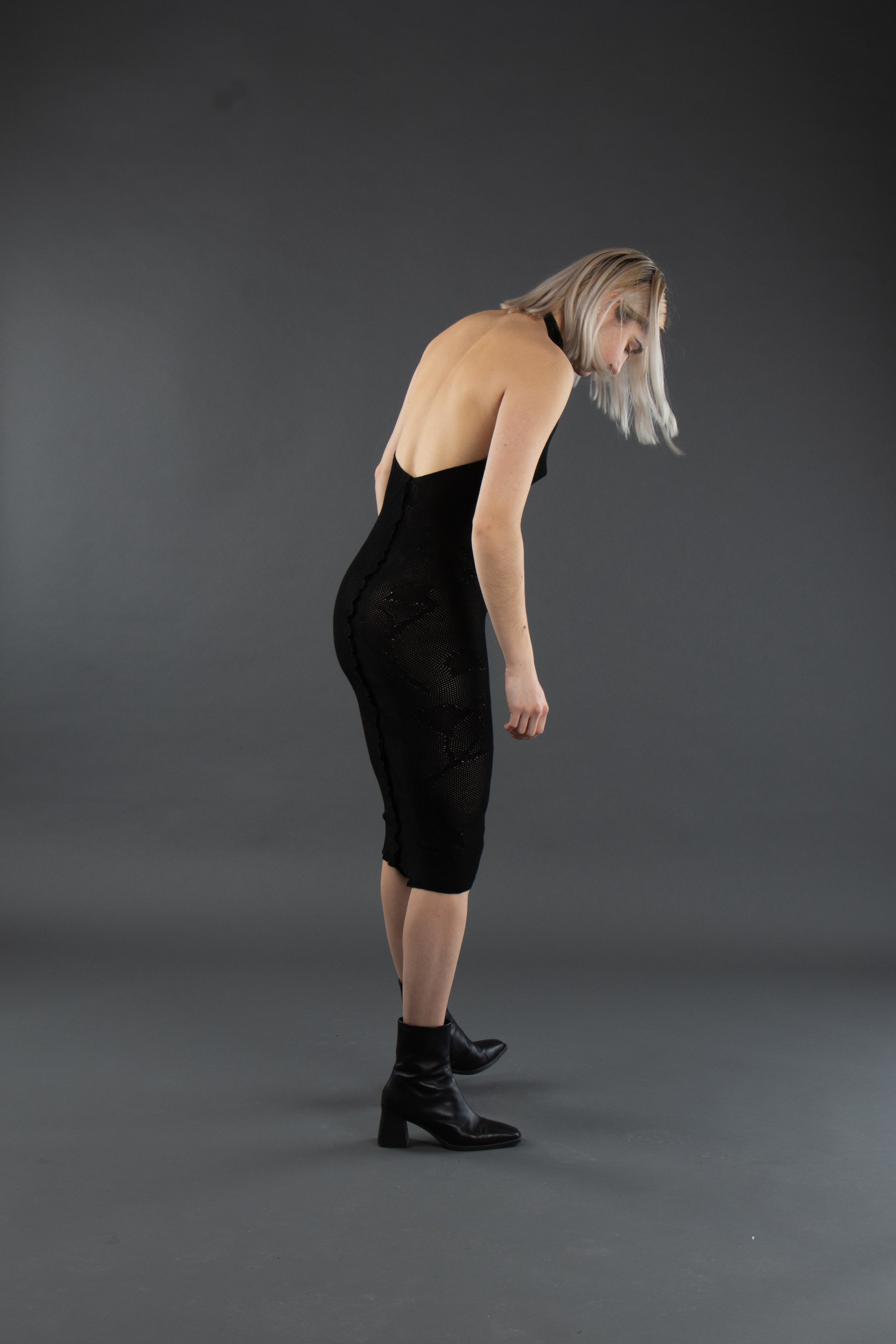 Lily Halter Studio Stars