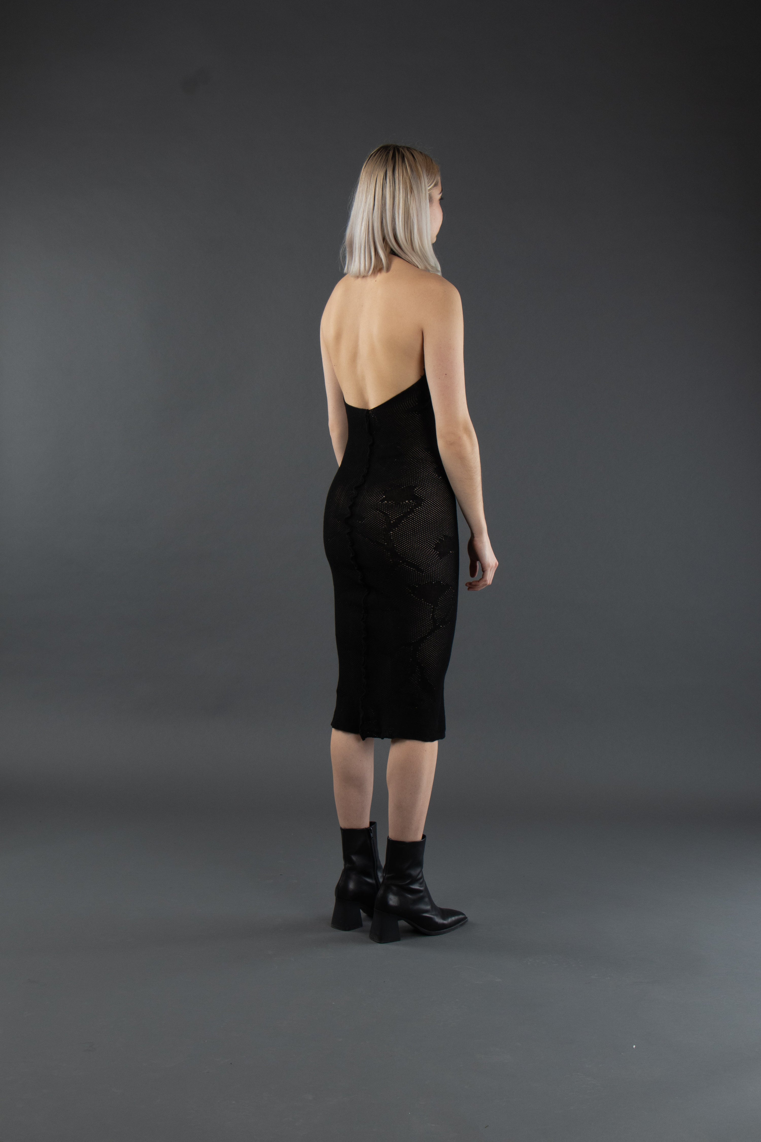 Lily Halter Studio Stars