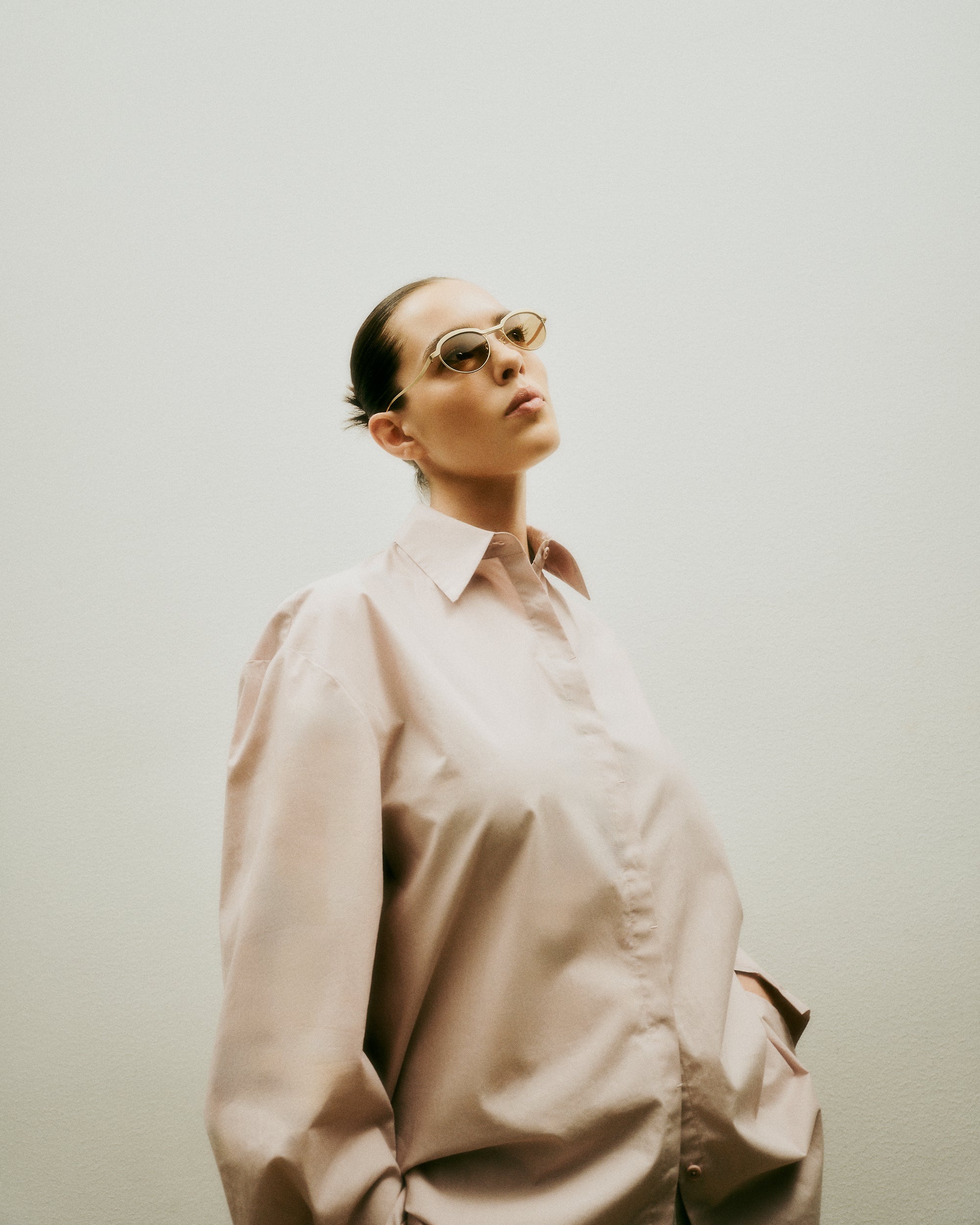 Theodor brown sunglasses Vincent Catani