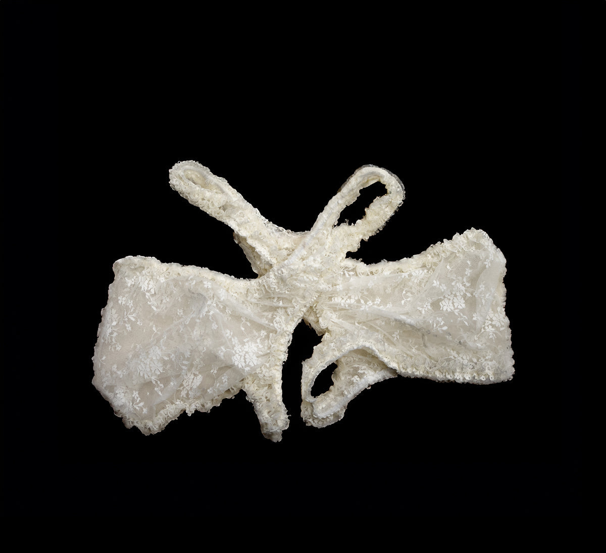 006-C-31 Double Chaps Studio Stars