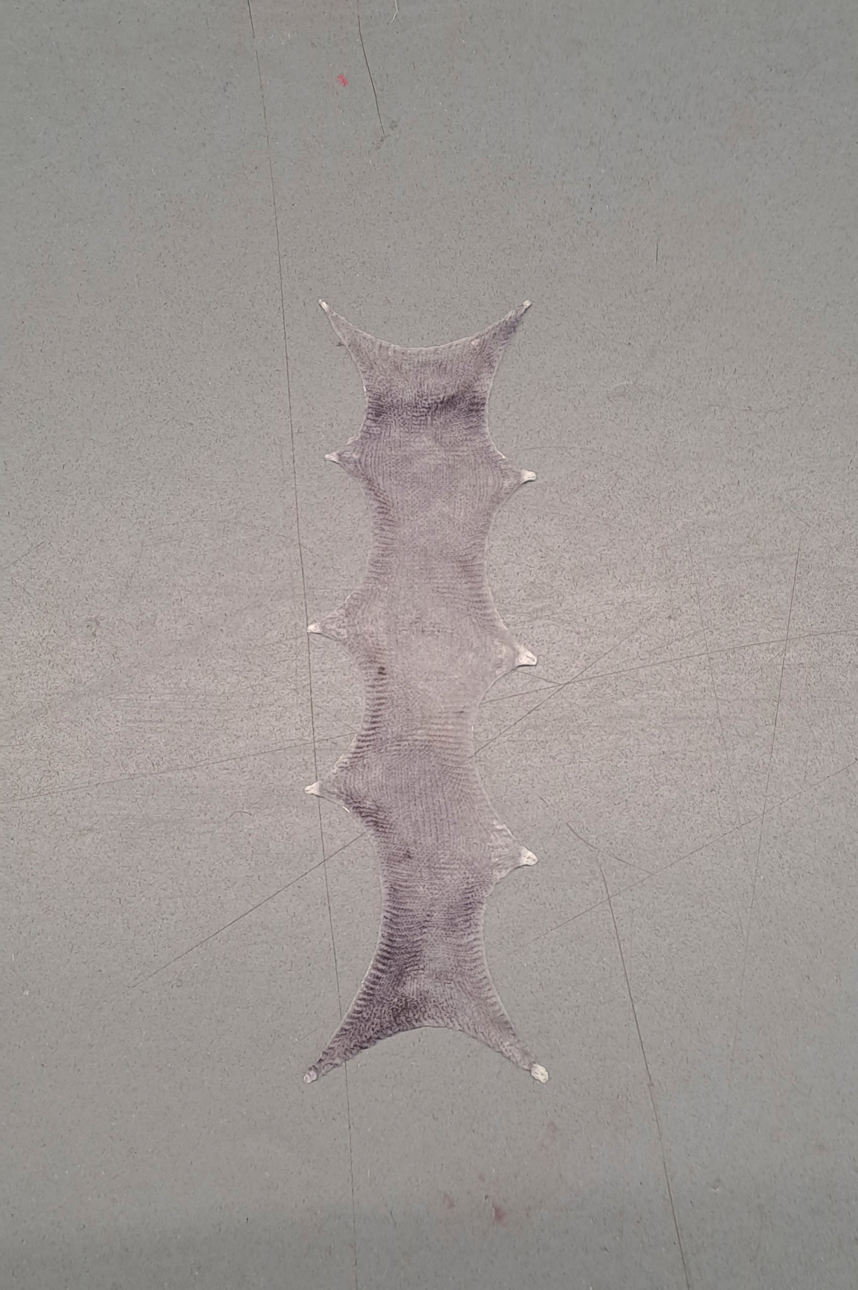 Bookmarks Studio Stars