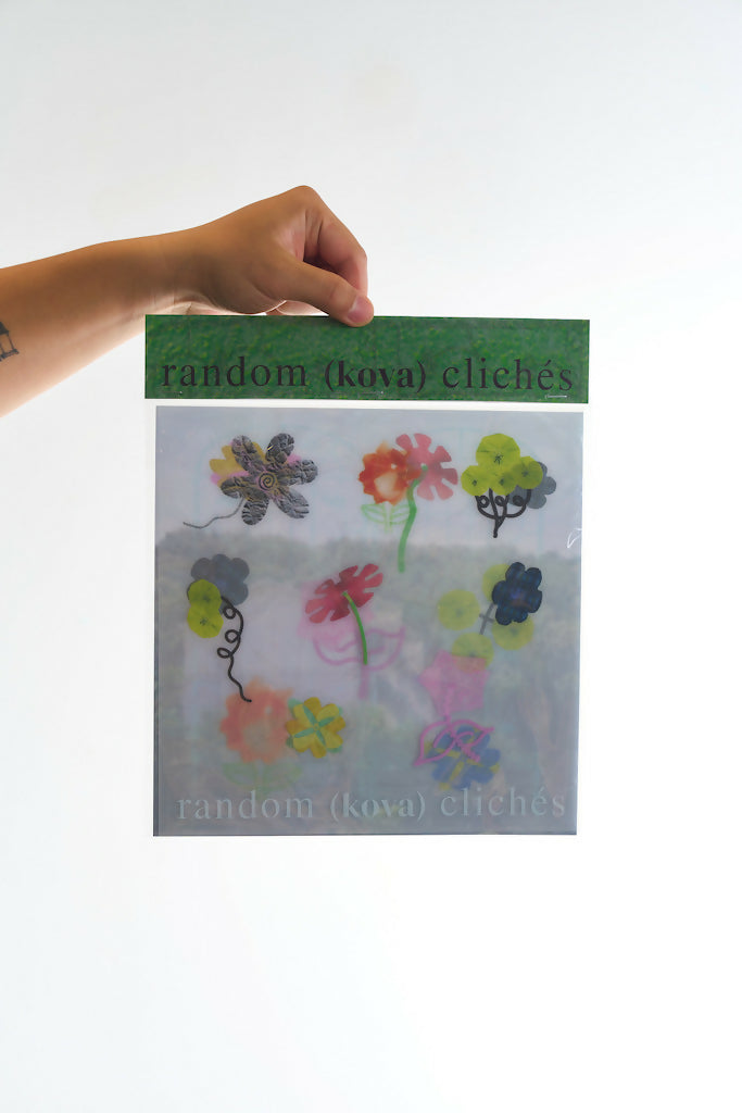 random (kova) clichés_Arificial Floral Window Film Studio Stars