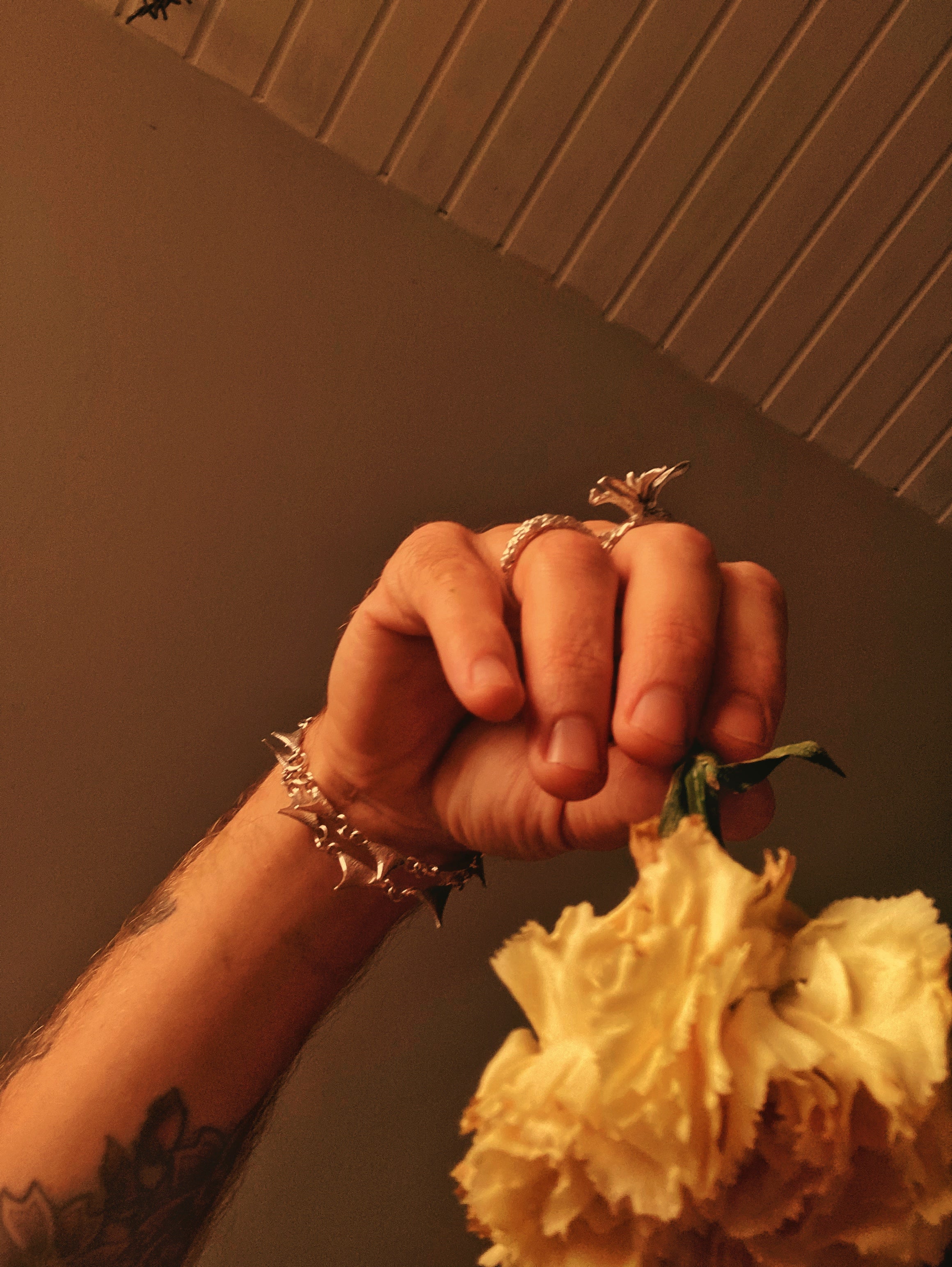 Thorns - Bracelet Studio Stars