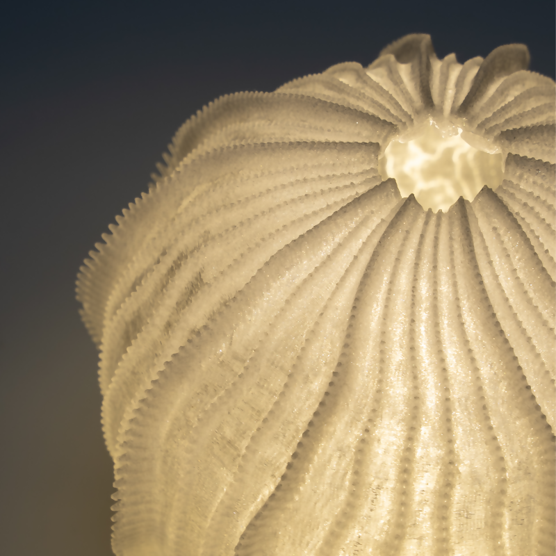 Urchin Lamp Studio Stars