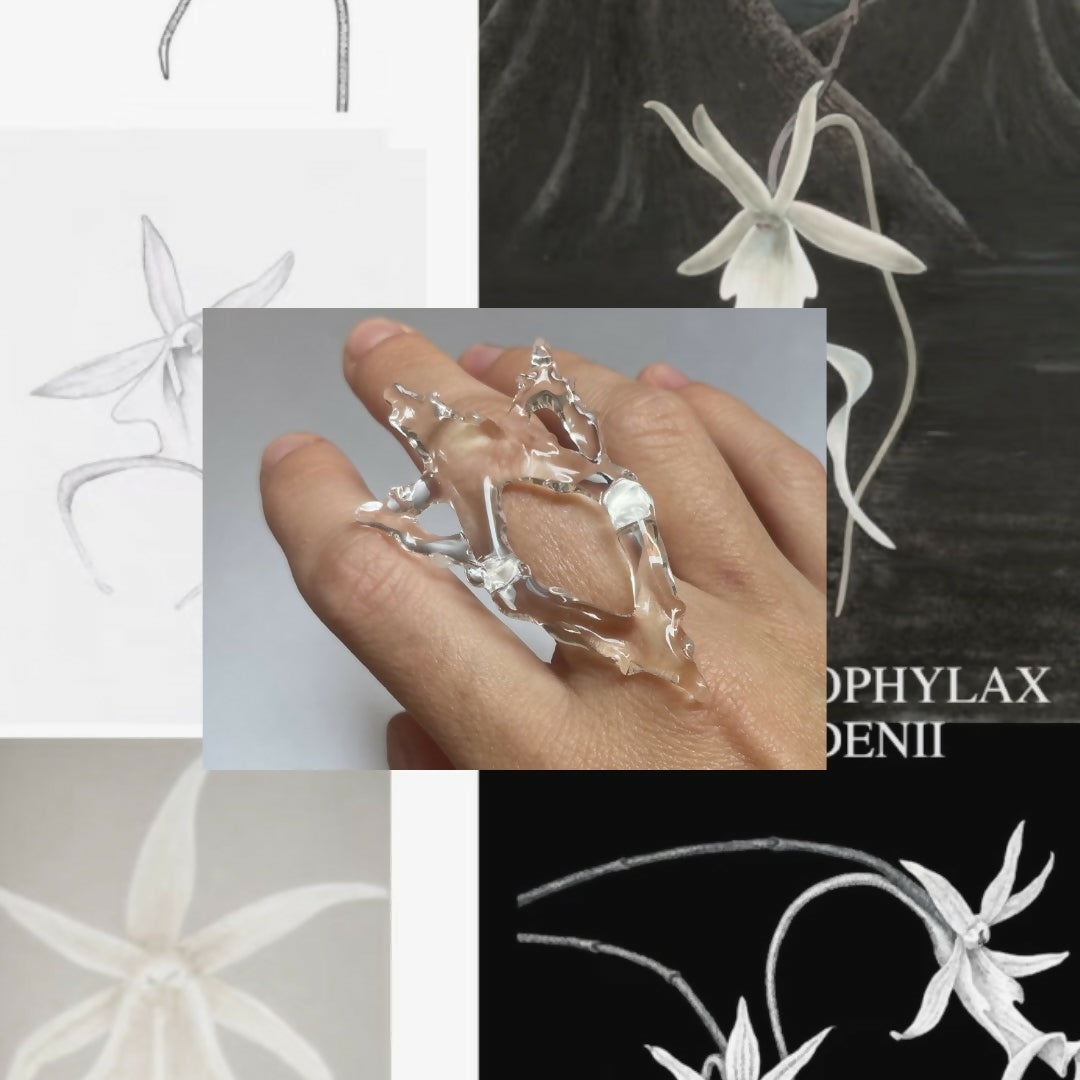 Petal 02 Studio Stars