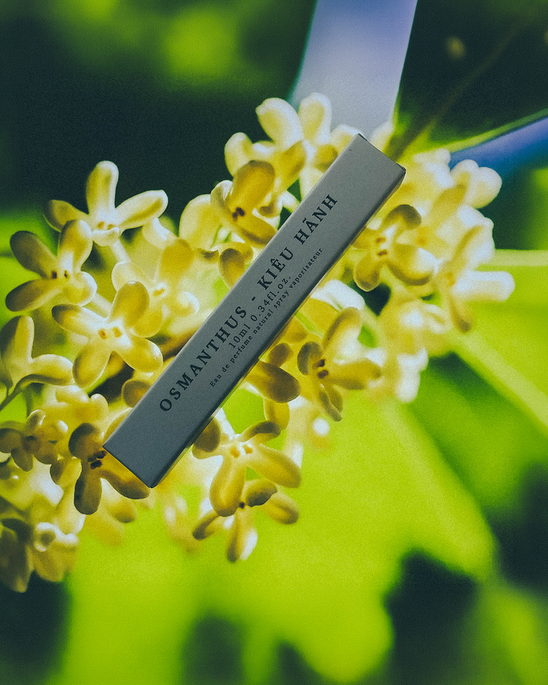 Xuân Nam Herbal 10ml Perfume Studio Stars