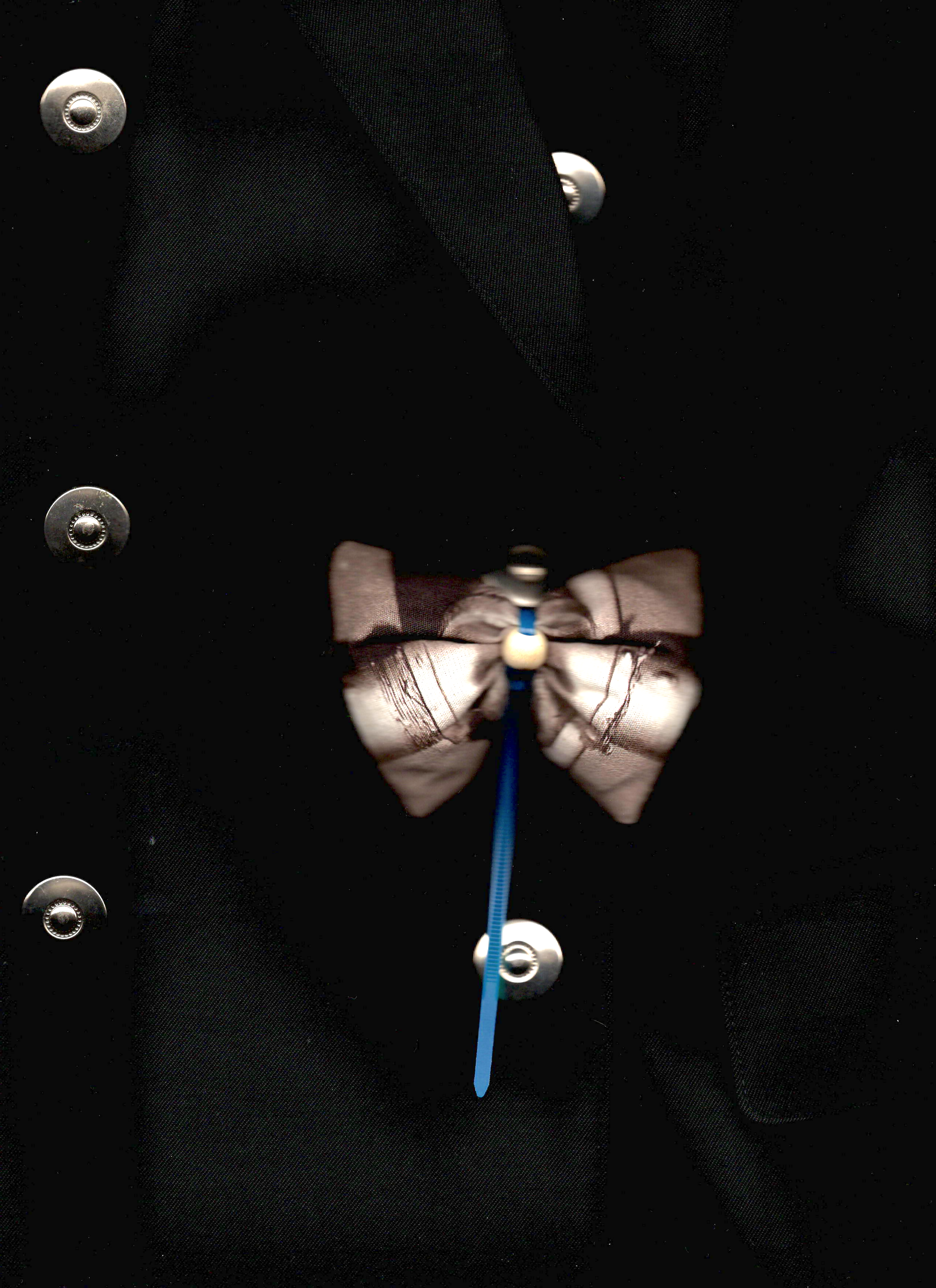 Bow Tie for Buttons Studio Stars