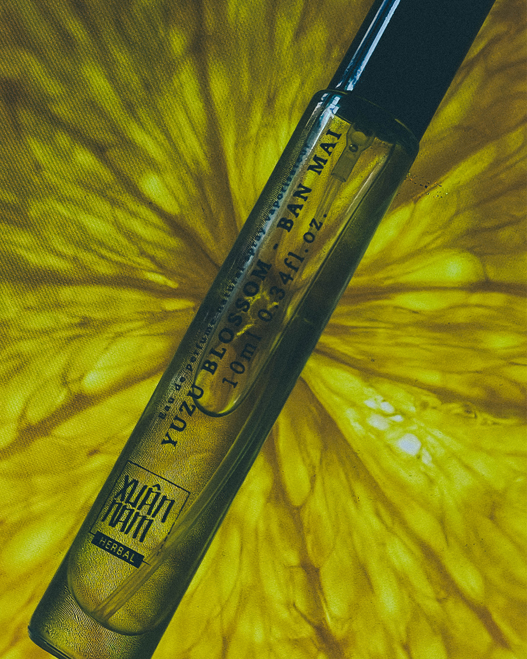 Xuân Nam Herbal 10ml Perfume Studio Stars